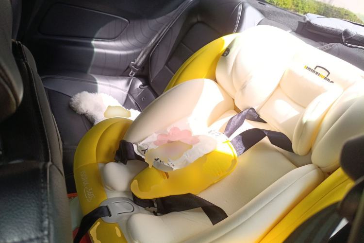 Used Ford Mustang 2019 2.3L EcoBoost