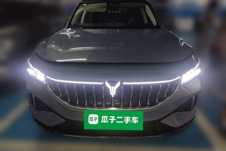 Used VOYAH FREE 2021 Two-Wheel Drive Standard Pure Electric City Edition