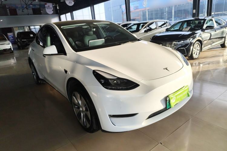 Used Tesla Model Y 2021 Standard Range Rear-Wheel Drive Version
