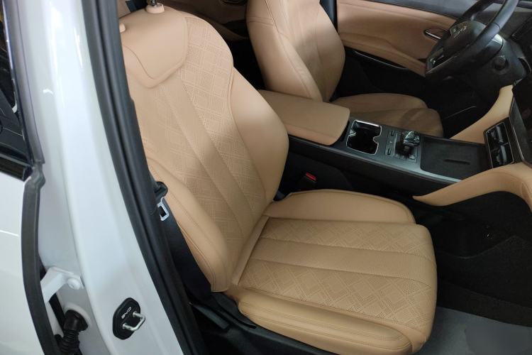 Used BYD Song L DM-i 2024 112 km Leading Edition Right Front Seat