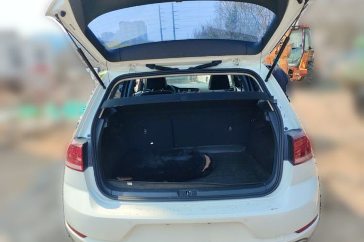 Used Volkswagen Golf 2019 280TSI DSG Comfort Version China VI Standard Trunk
