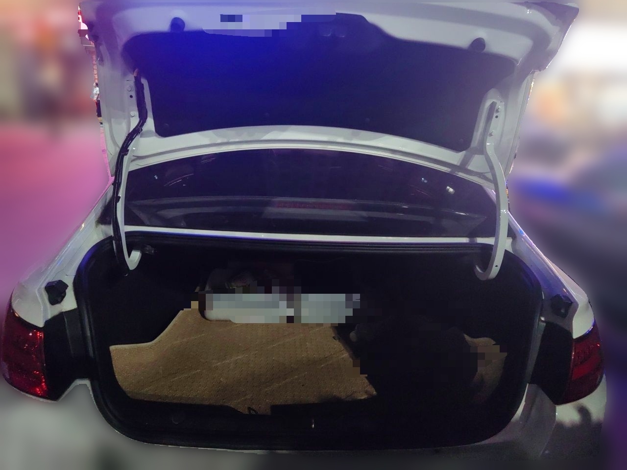 Geely Auto Emgrand New Energy Emgrand New Energy EVpro, engine displacement 0, automatic transmission, five seats. — снимка 19