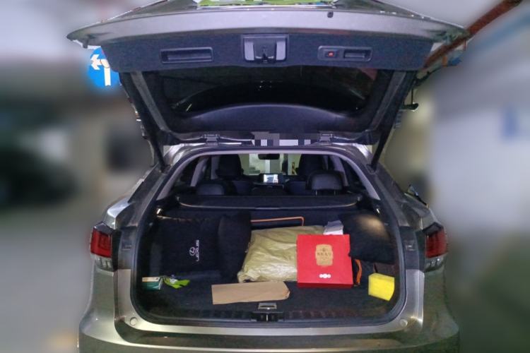 Used Lexus RX 2020 Revised Version 300 Two-Wheel Drive Elite Edition