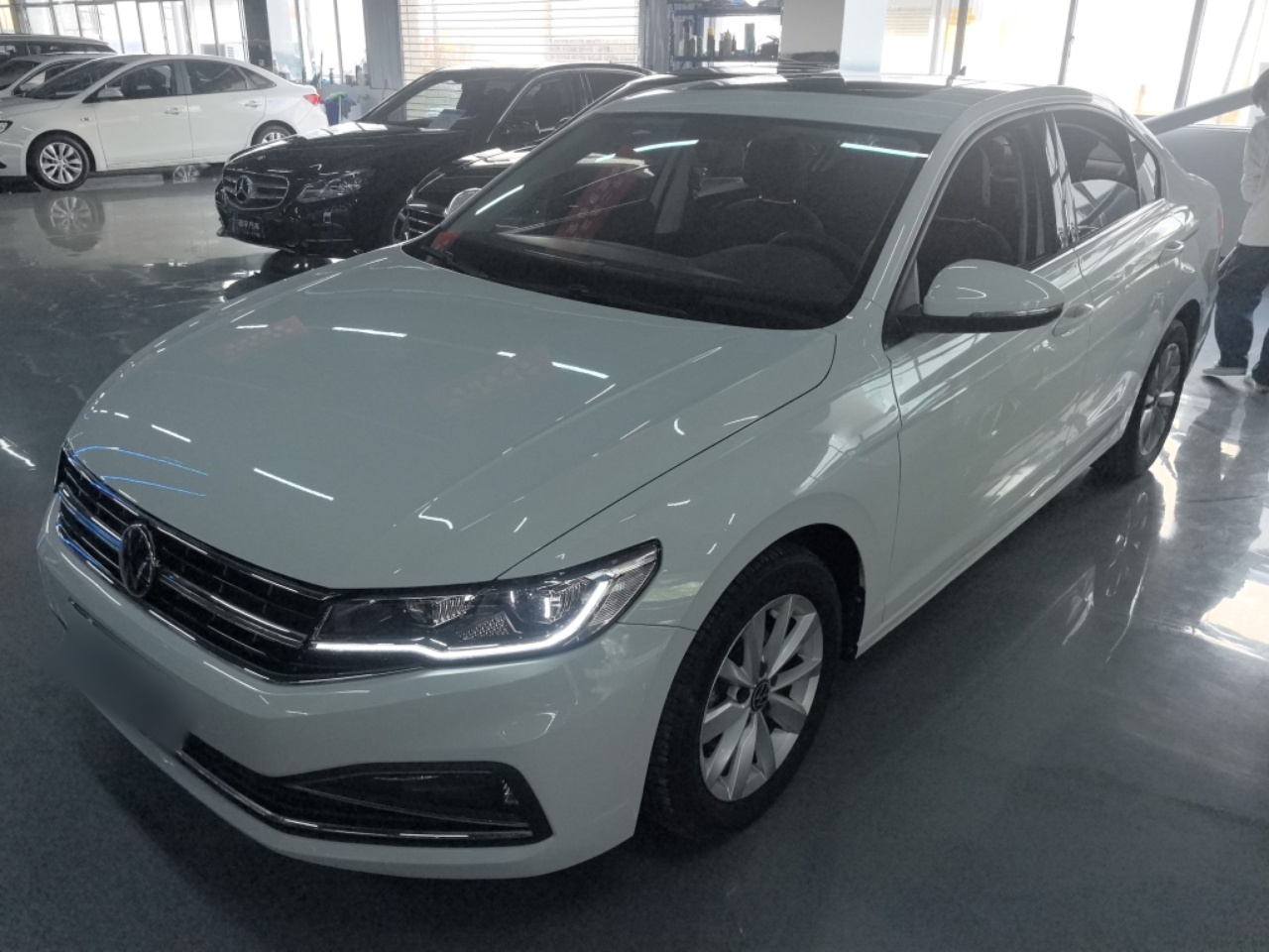 Parte inferior delantera