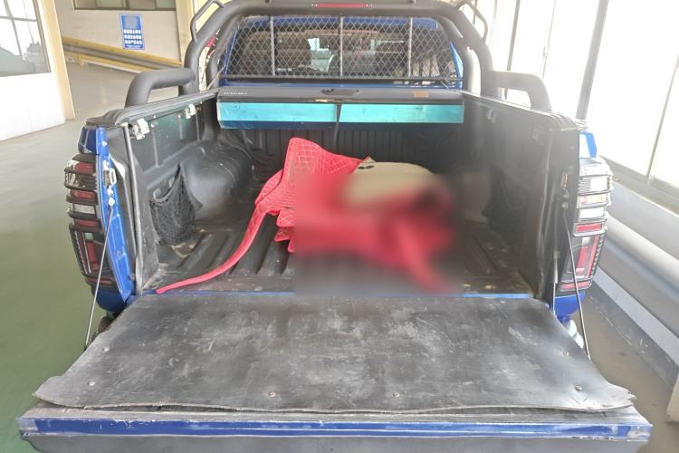 Used Great Wall Poer 2021 2.0T Global Version Passenger Car Automatic Gasoline Two-Wheel Drive Comfort Trim Standard Box – GW4C20B