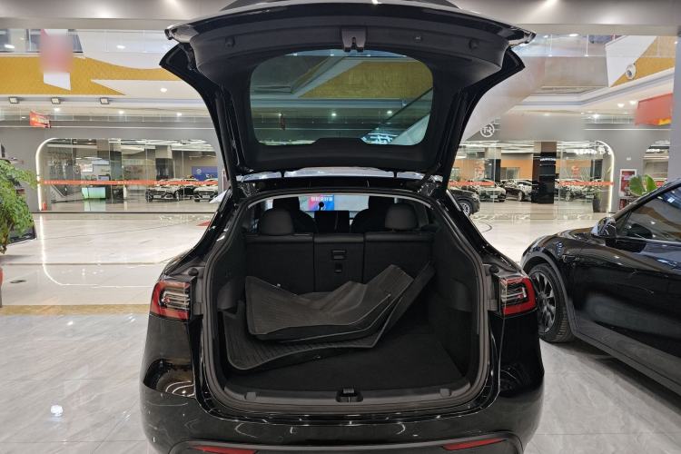 Used Tesla Model Y 2021 Standard Range Rear-Wheel Drive Version
