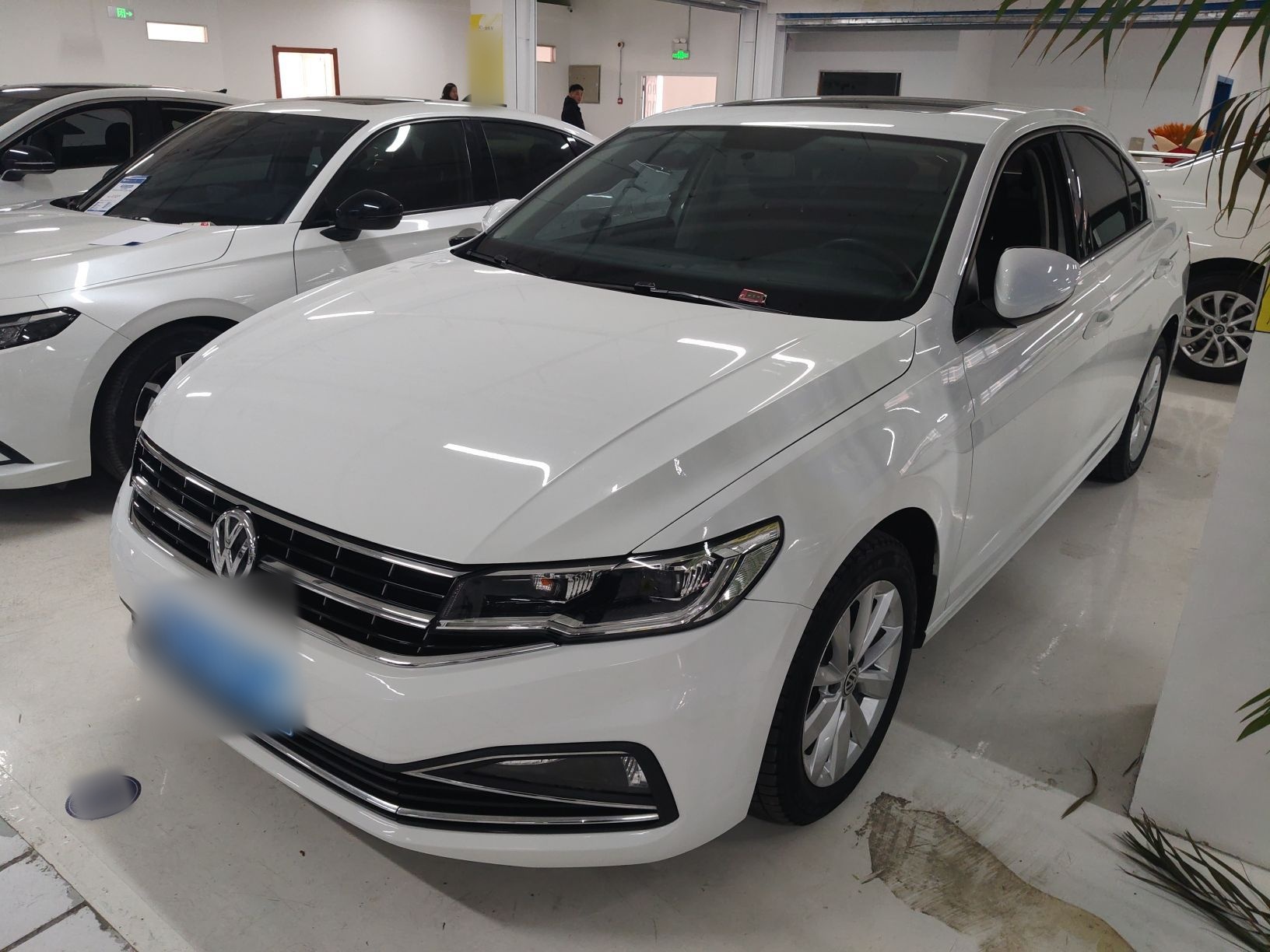 Parte inferior delantera