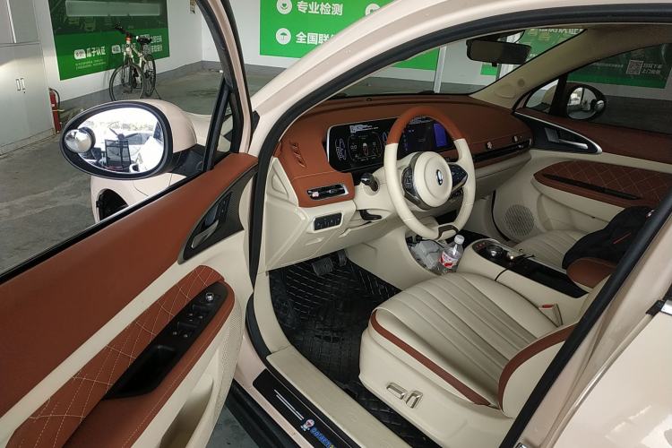 Used ORA Good Cat 2022 Morandi Edition 400km Standard Range Luxury Version Lithium Iron Phosphate Driver Seat