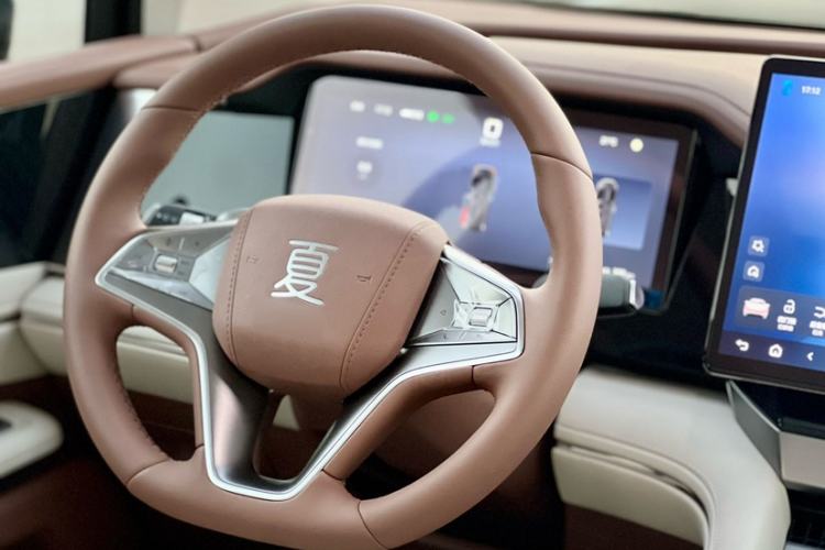 Used BYD Xia 2025 DM-i 1.5T 100km Leading Model