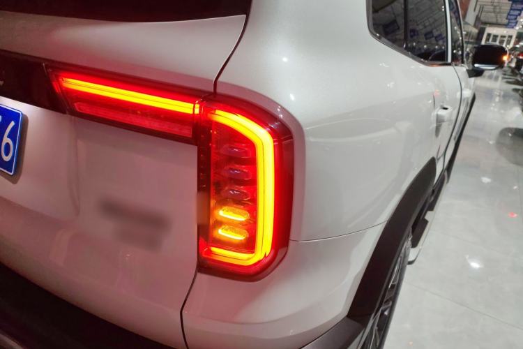 Used Haval DARGO 2021 2.0T DCT 4x4 Chinese Rural Dog Edition