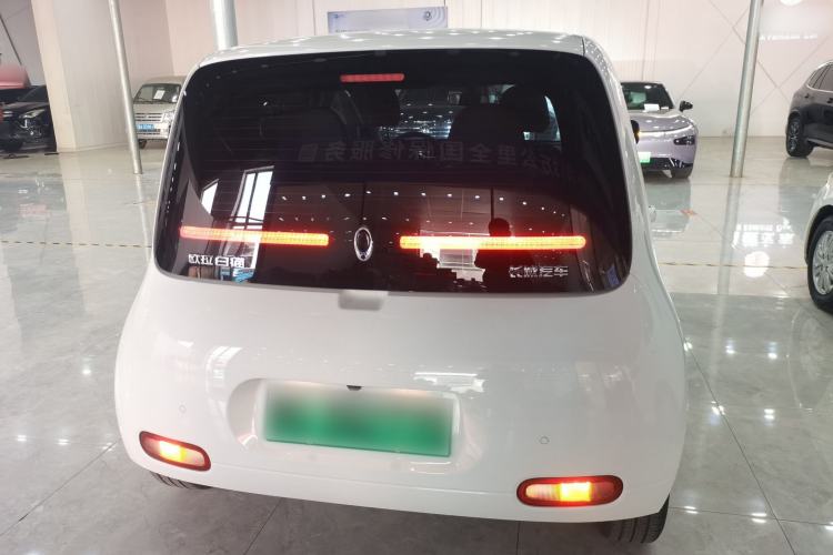 Used ORA White Cat 2020 305 km Luxury Version Rear
