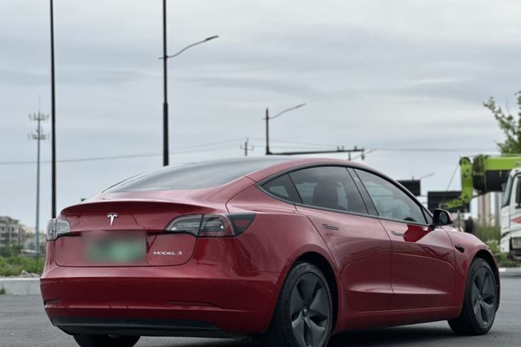 Used Tesla Model 3 2020 Revised Version Standard Range Rear-Wheel Drive – Upgraded Edition Exterior 6