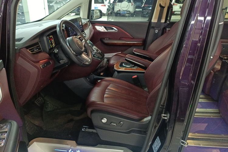 Used Hongqi HQ9 2023 2.0T Smart Connect Flagship Edition Left Front Seat