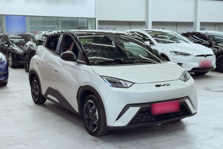 Used BYD Seagull 2023 Flying Edition