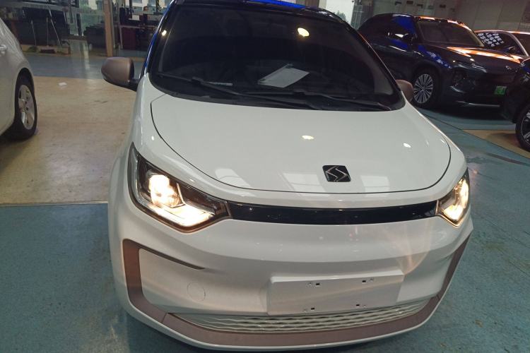 Used SOL E10X 2022 Flower Fairy Style Baby's Breath
