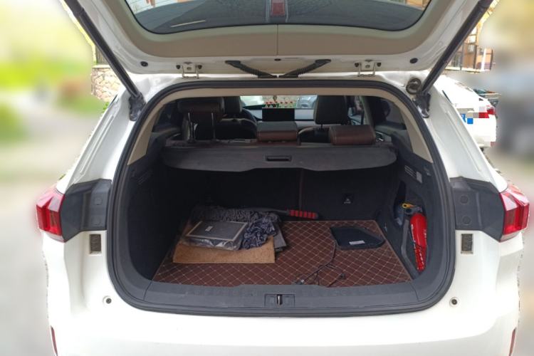 Used Wey VV6 2020 2.0T Two-Wheel Drive Smart Protection+ Trunk