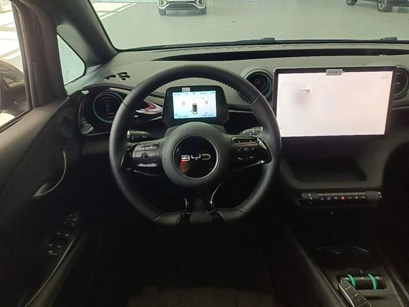 Used BYD Dolphin 2024 Honor Edition 420km Fashion Version — 11