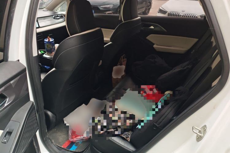 Used Geometry E Firefly 2024 401 km Fluorescent