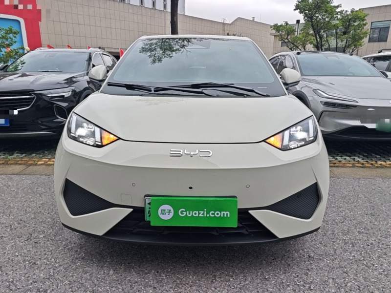 Used BYD Seagull 2026 Model, 305 km Freedom Edition — 2