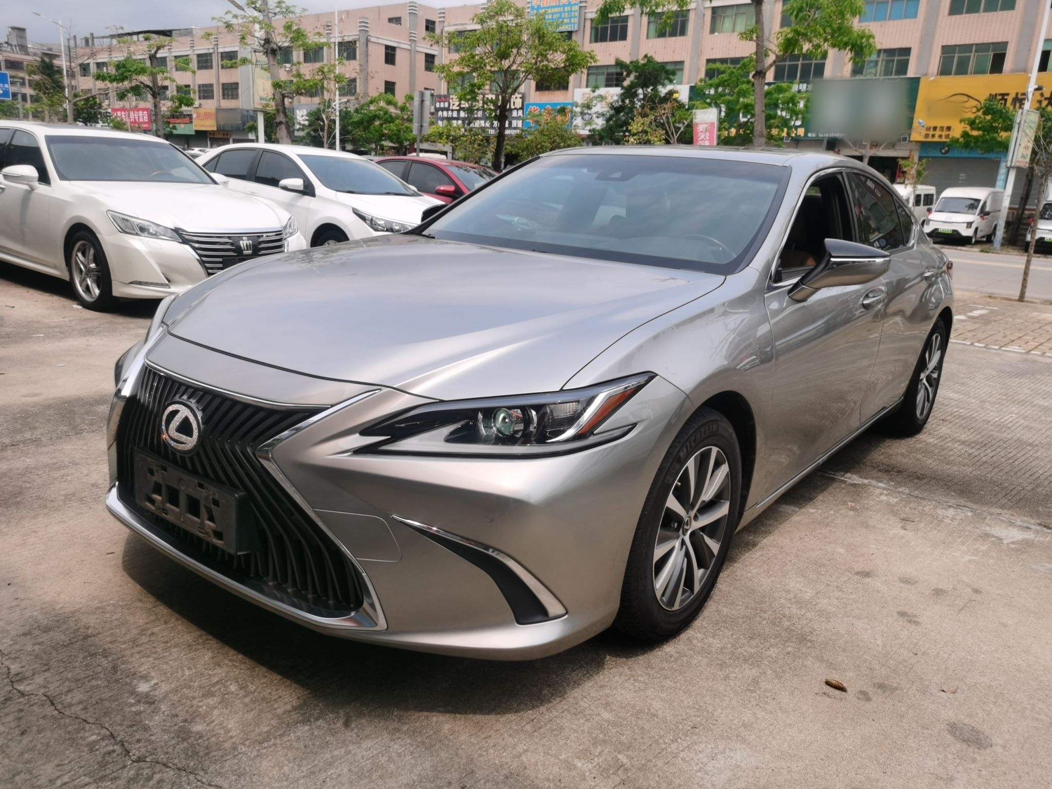 Parte inferior delantera