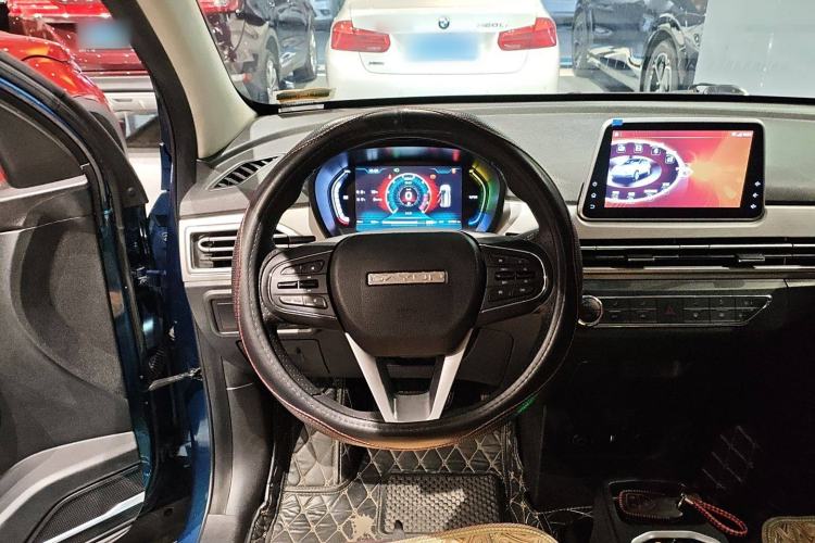 Used Dayun Yuehu 2021 32.85 kWh Two-Wheel-Drive Sprite Version
