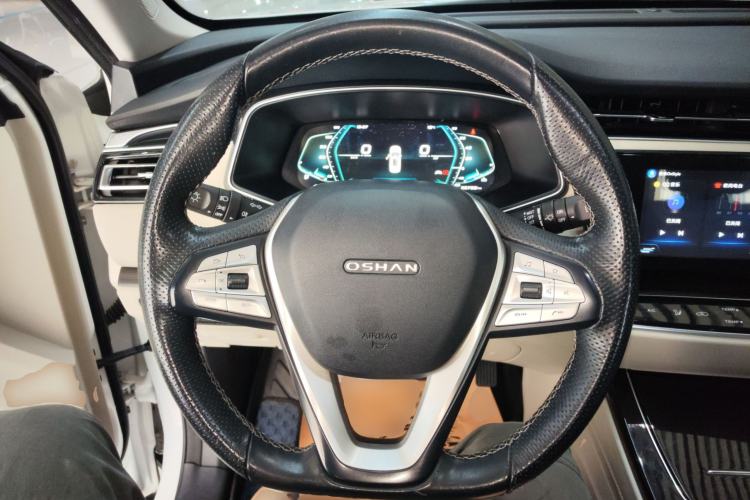 Used Oshan X7 EV 2020 Luxury Edition 405