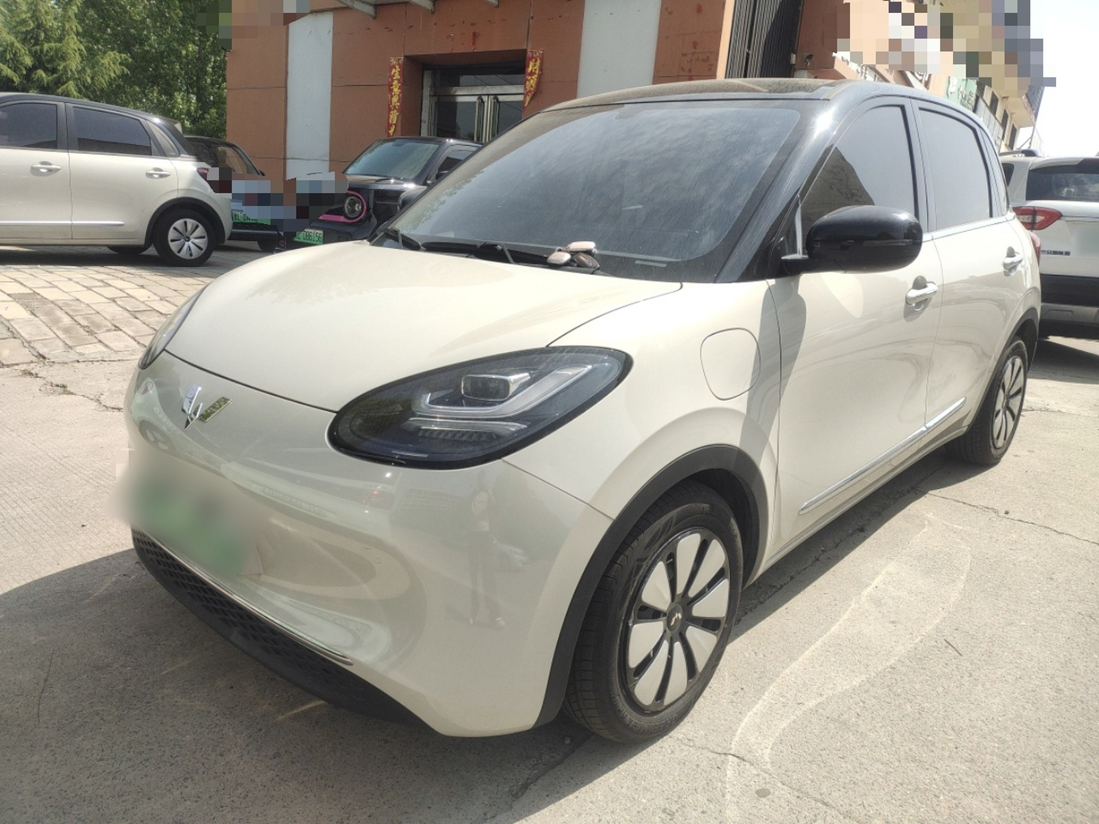 Parte inferior delantera