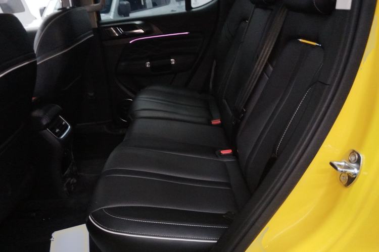 Used Tank 300 2022 2.0T Border Limited Edition