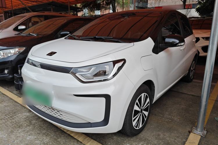 Used SOL E10X 2022 Flower Fairy Design Four-Leaf Clover