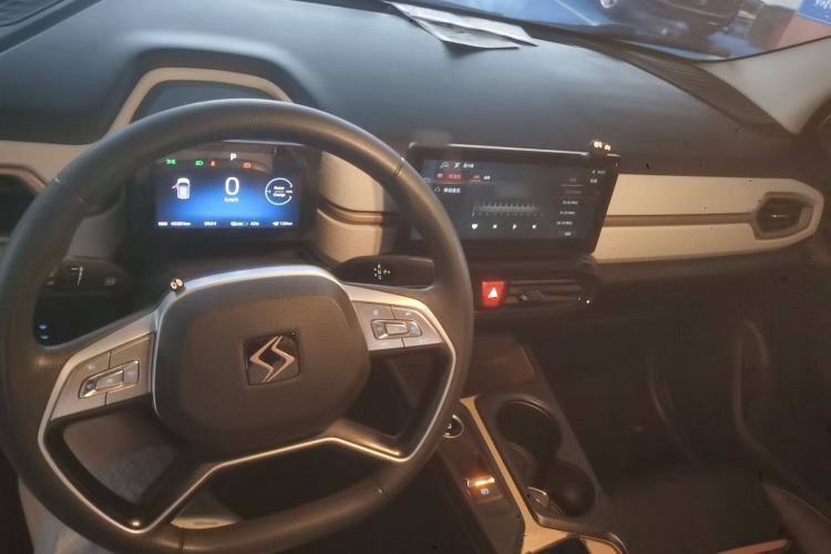 Used SOL E10X 2022 Flower Fairy Design Four-Leaf Clover