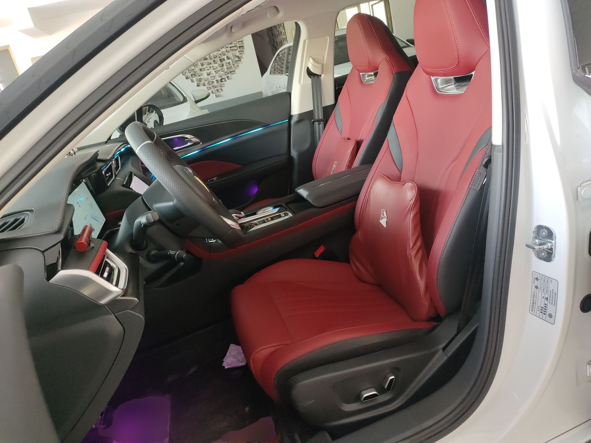 Interior delantero