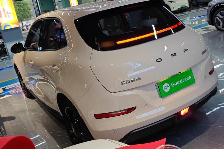 Used ORA Good Cat 2024 501 km Luxury Version