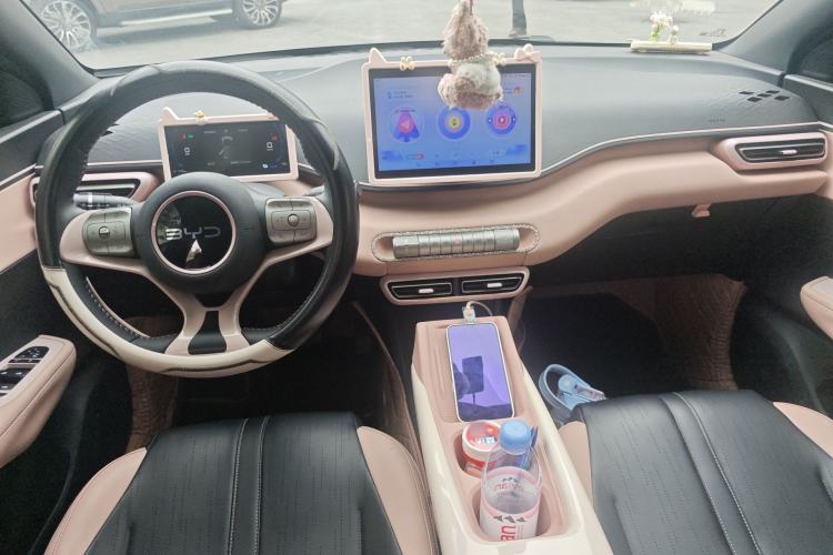 Used BYD Seagull 2025 305 km Free Version Center Console