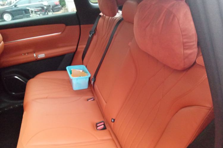 Used Qiyuan Q07 2025 145 Zun Yao Trim
