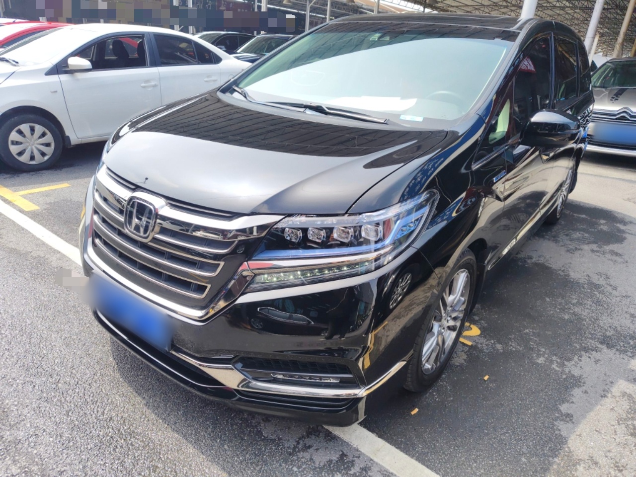 Parte inferior delantera