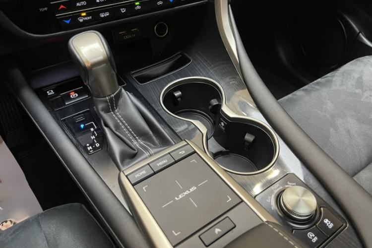 Used Lexus RX 2020 Revised Version 300 Two-Wheel Drive Elite Edition