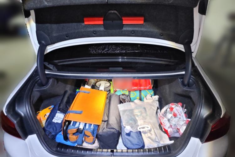 Used BMW 5 Series 2019 530Li Leading Model M Sport Package
