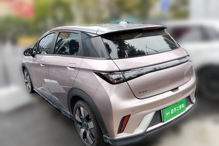 Used BYD Dolphin 2021 401km Knight Edition