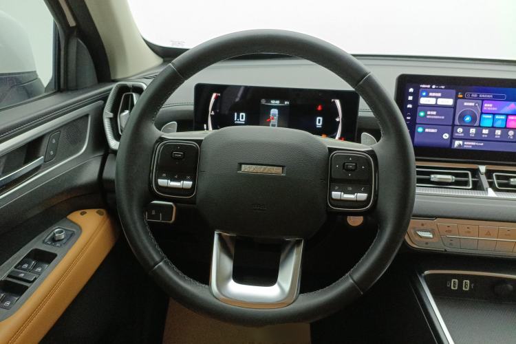 Used Haval H5 2023 2.0T Automatic Two-Wheel Drive LinkedIn Gasoline
