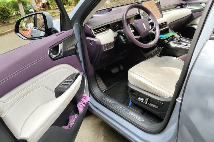 Used Wey Latte DHT-PHEV 2022 1.5T Two-Wheel Drive Big Cup
