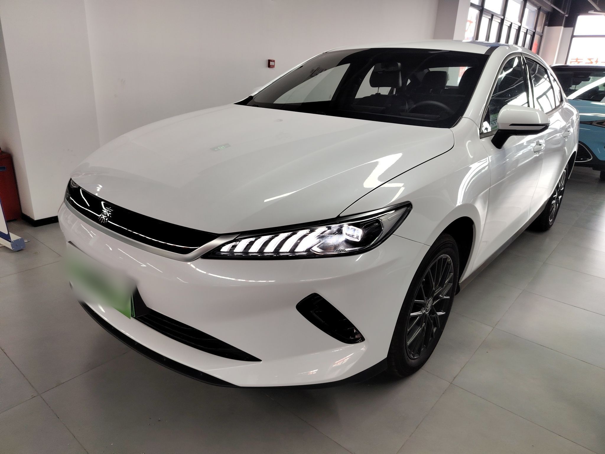 Parte inferior delantera