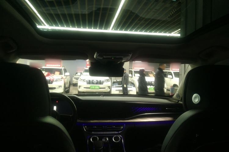 Used Hongqi H9 2020 3.0T Smart Connect Flagship Four-Seat Version