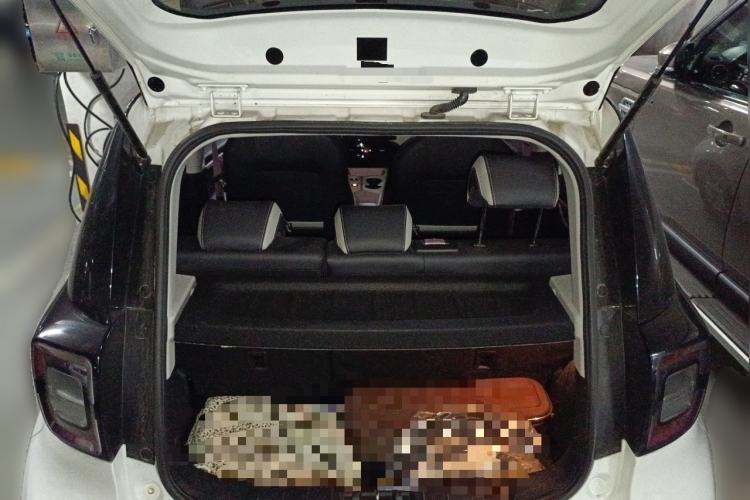 Used SOL E10X 2022 Flower Fairy Style Baby's Breath Trunk