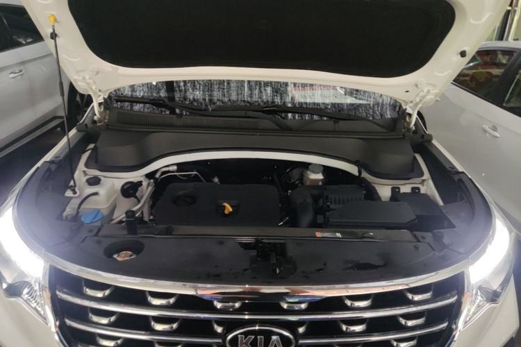 Used Kia Sportage R 2019 2.0L Automatic Smart Luxury Edition
