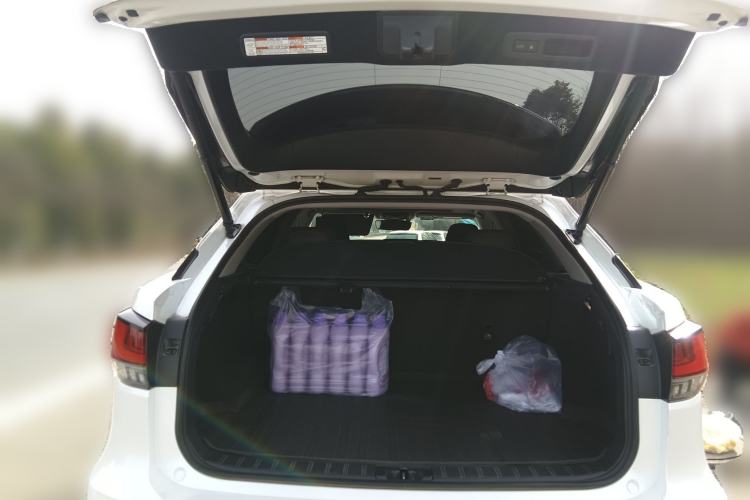 Used Lexus RX 2020 Facelifted 300 4x4 Elegant Edition
