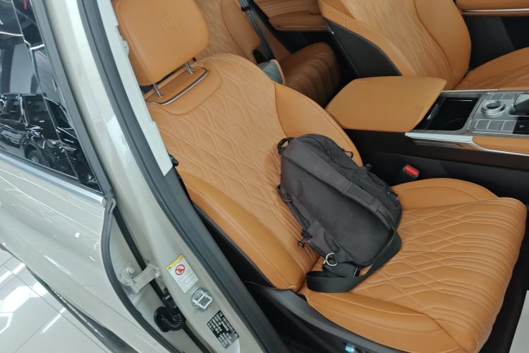 Used Tank 500 2023 3.0T Business Edition "Creation" Style 5 Seats Right Front Seat