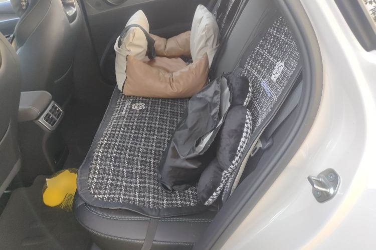 Used BYD Seal 06 New Energy 2025 DM-i Smart Drive 120KM Prestige Model Left Rear Seat