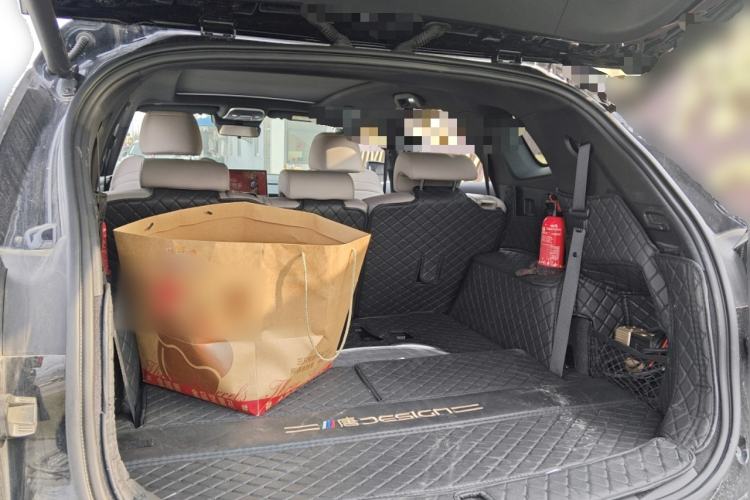 Used BYD Tang New Energy 2025 DM-i 115KM Prestige Model