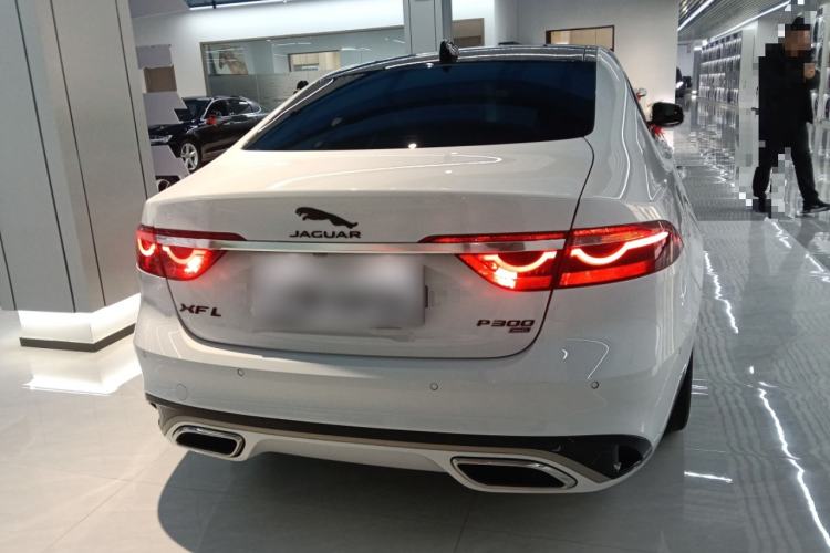 Used Jaguar XFL 2024 2.0T P300 Four-Wheel Drive Flagship Sport Gold Edition