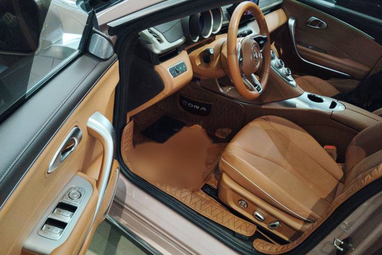 Used ORA Lightning Cat 2022 555 km Luxury Edition
